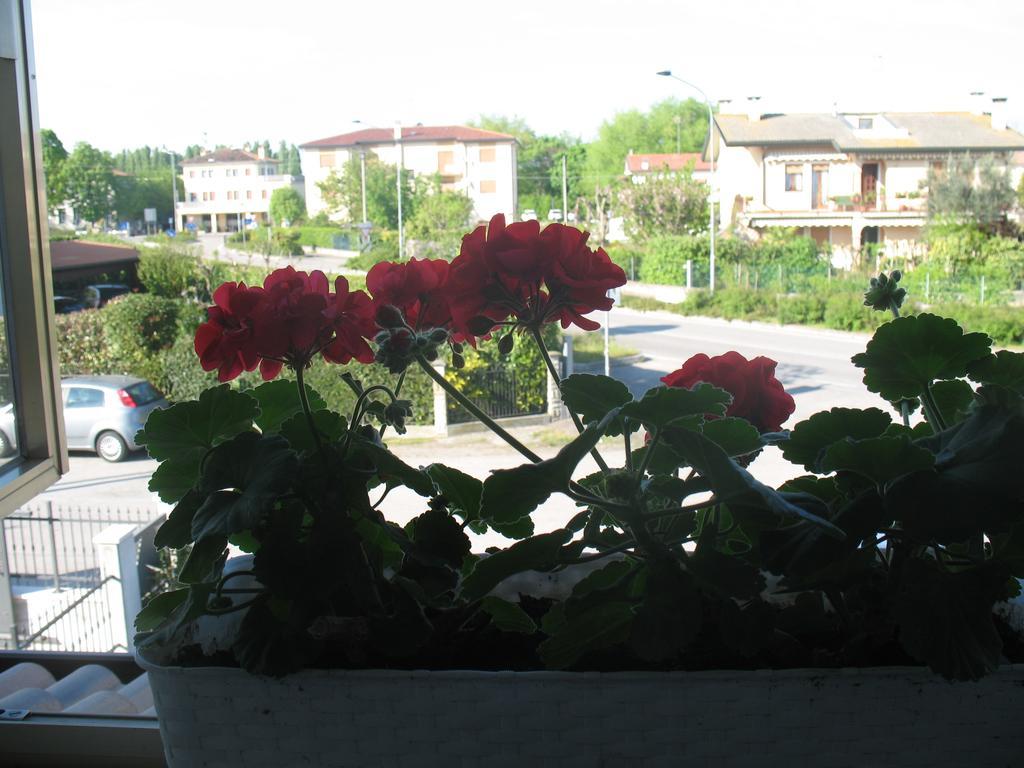 Laguna B&B Quarto dʼAltino Εξωτερικό φωτογραφία